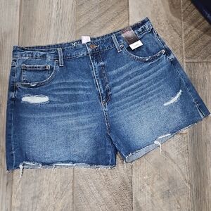 NWT! No Boundaries Distressed Blue Jean Shorts Size 17